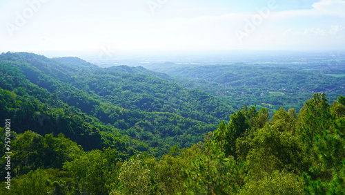 View from the top of mountain. Natural nature landscape background with clear sky and tress in the forest. © Maria Marganingsih