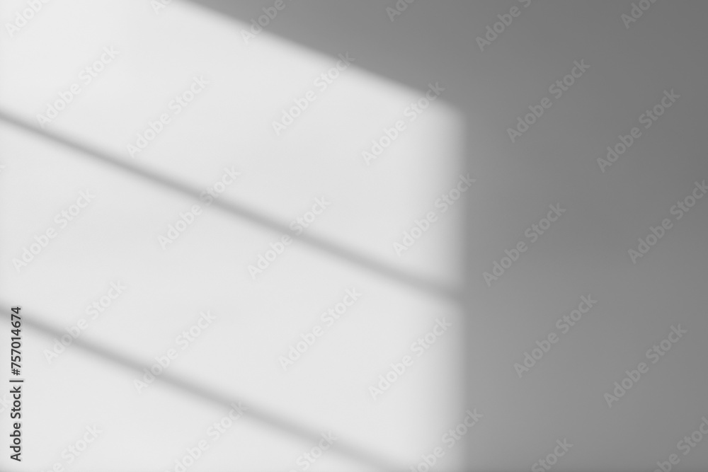 JPG Abstract Realistic Shadow Overlay on the Wall JPG Abstract Realistic Shadow Overlay on the Wall