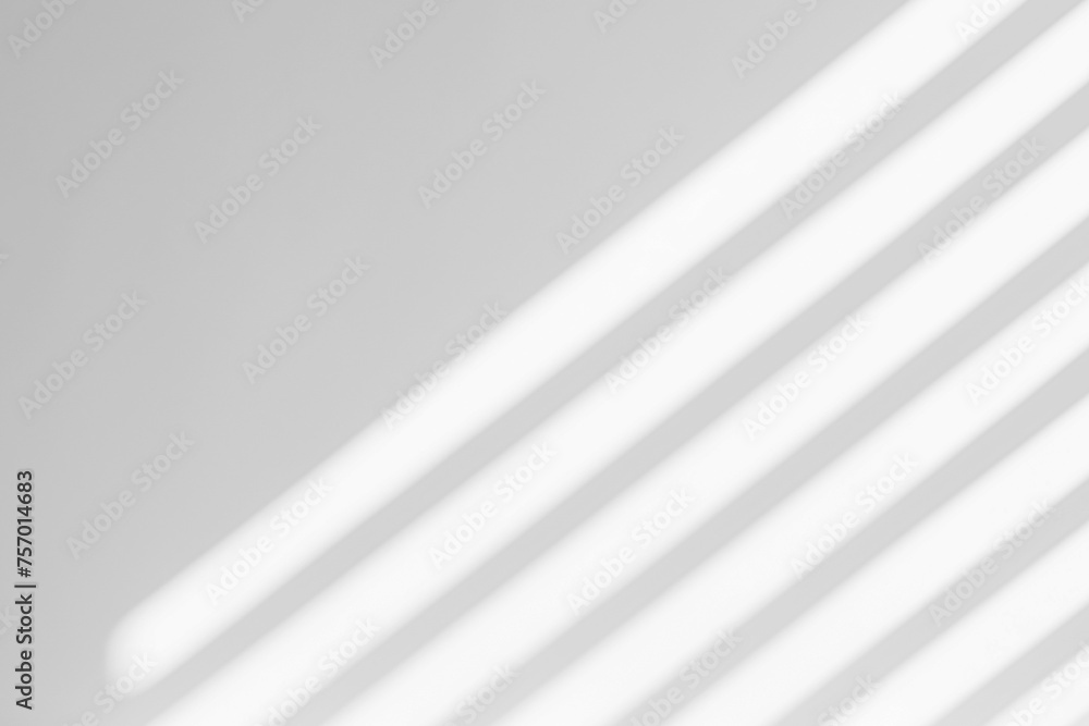 JPG Abstract Realistic Shadow Overlay on the Wall JPG Abstract Realistic Shadow Overlay on the Wall