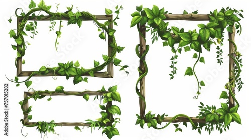 An assortment of frames made from liana vines with leaves and flowers. Borders created with jungle plant branches in the shape of rectangular boxes and badges. © Mark