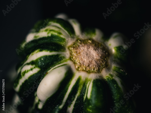 Vegetable closeup