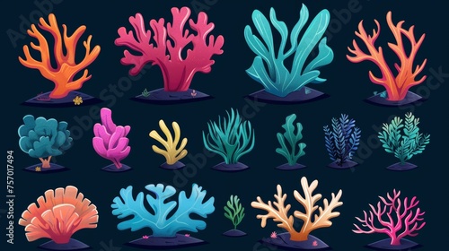 Various underwater ocean plants and reefs modern illustration collection. Tropical marine or aquarium bottom plants and creatures. Exotic undersea flora elements...