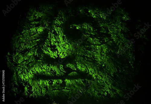 grass and moss shaped like the face of a fantasy being 