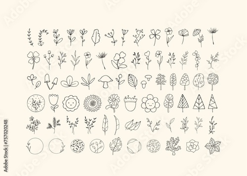 Cute hand-drawn line art doodles of plants, leaves, flowers, branches and wreaths for logos and cards. Vector illustration with monimalist plants illustrations. Botanical illustrations.