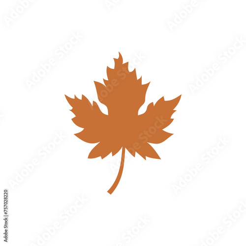 Maple leaf icon isolated on transparent background