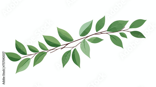 Leaf plant isolated icon  flat vector