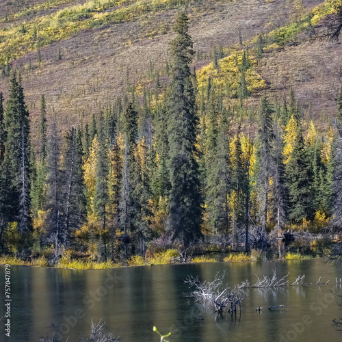 Yukon in Canada, wild landscape in autumn 