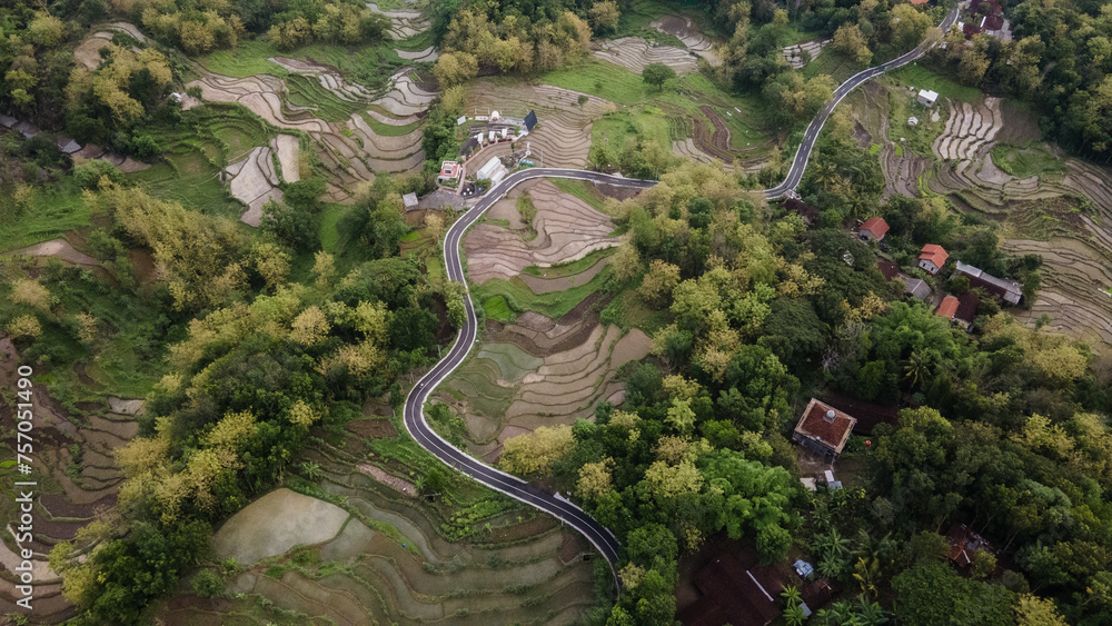 aerial view of asphalt road winding between forests and beautiful green rice fields.