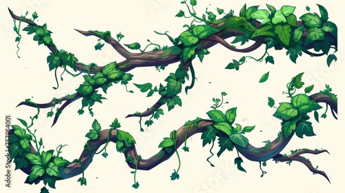Liana vine with tangled and swirled leaves and moss. Cartoon graphic asset set of jungle tree stems with leaves.