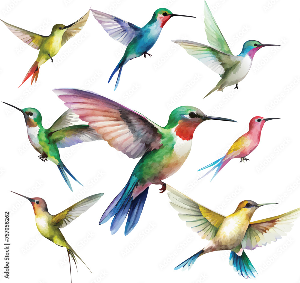 Set of hummingbirds Set of hummingbirds