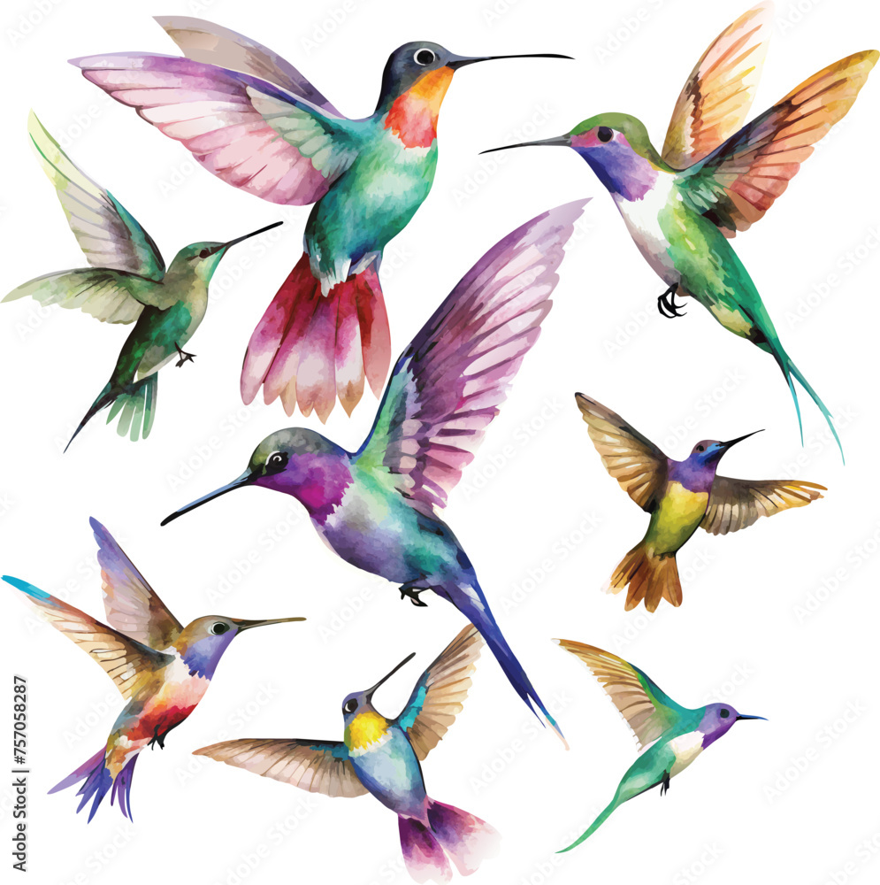 Obraz premium Set of hummingbirds