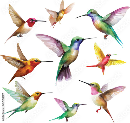 Set of hummingbirds © Phary