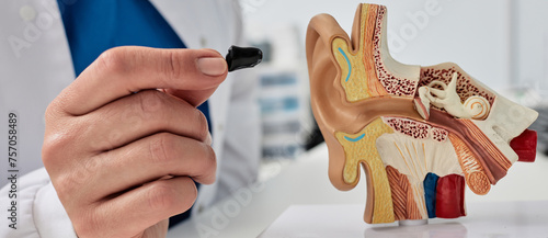 Presentation of in-the-canal hearing aid. Close-up of hearing aid in audiologist hand near anatomical model of human ear