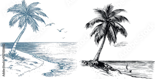 Sketch landscape with palm tree