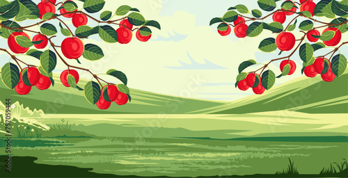 view of agricultural fields with apples spreading in the surrounding area and a backdrop of plantations and clear skies