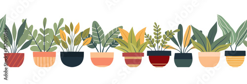 Vector seamless cozy border with house plants in various pots isolated from background. Horizontal frieze with flat illustration photo