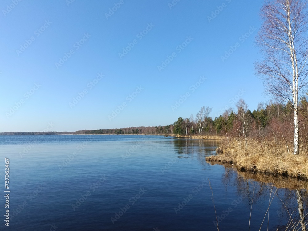 Rekyva forest and lake during sunny summer day. Pine and birch tree woodland. Wavy lake. Bushes and small trees are growing in woods. Sunny day without clouds in blue sky. Nature. Rekyvos miskas. Rekyva forest and lake during sunny summer day. Pine and birch tree woodland. Wavy lake. Bushes and small trees are growing in woods. Sunny day without clouds in blue sky. Nature. Rekyvos miskas.