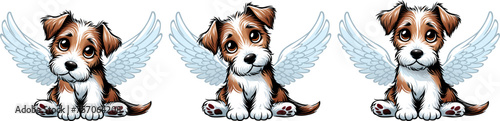 small shaggy curious puppy with angel wings