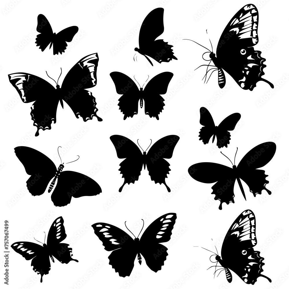 Butterfly silhouette pack Butterfly silhouette pack