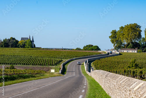 View on green vineyards, wine domain or chateau in Haut-Medoc red wine making region, Bordeaux, left bank of Gironde Estuary, France