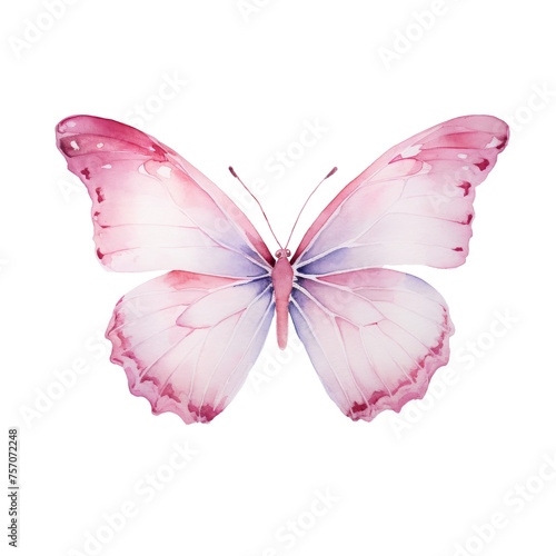 Vibrant Watercolor Butterfly Illustration isolated © Tony A