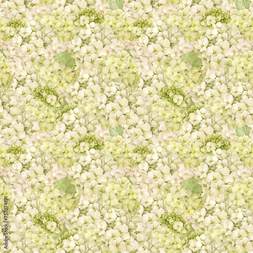 Seamless pattern of hydrangea flowers. The flowers are hand-painted with watercolors