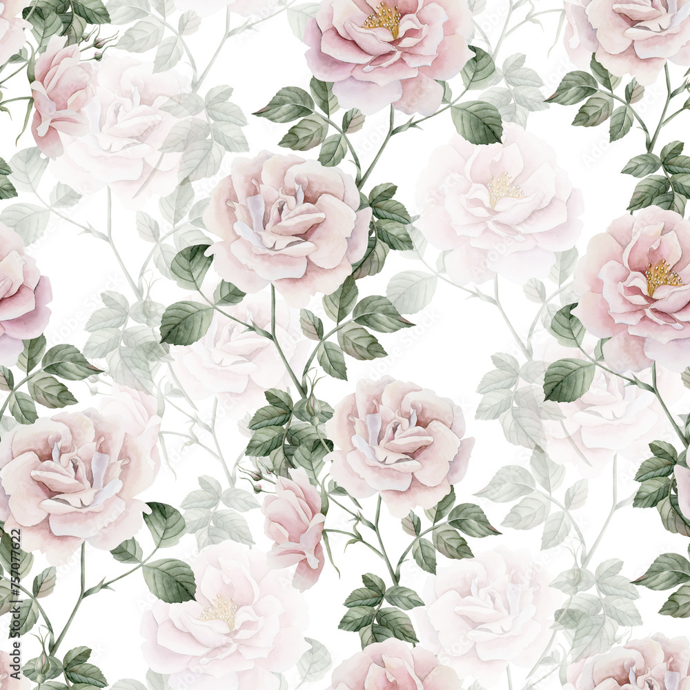 Rose hip pink flowers with buds and green leaves, Victorian style, watercolor seamless pattern on white background. - obrazy, fototapety, plakaty 