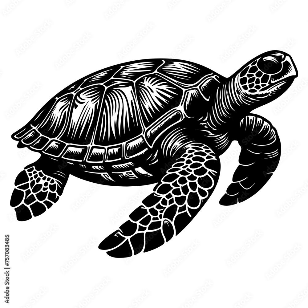 Fototapeta premium continuous one black line hand drawing turtle marine animal doodle vector illustration on white
