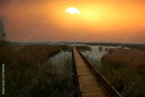 Efteni Lake  Duzce City  Turkey