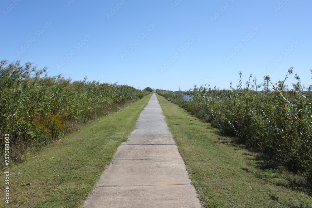 Endless straight walkway through a swamp in Louisiana, USA on a sunny day in late october, reed on the left and right side, blue sky,
