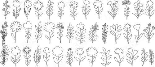 Hand drawn floral line art, detailed black and white flower line art, vector illustrations of various floral species in bloom, perfect for pattern, print, and wallpaper design.”