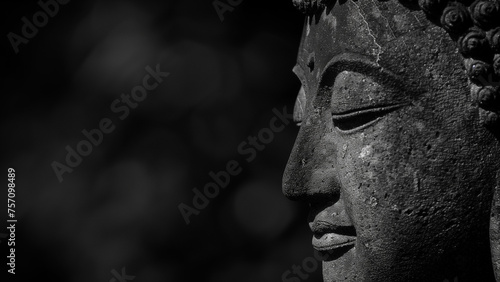 Calm in Contrast: Buddha’s Profile in Soft Light
