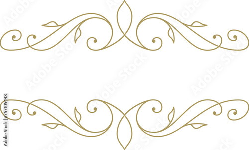 Vintage ornament swirl text divider filigree calligraphic vector illustration