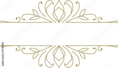 Vintage ornament swirl text divider filigree calligraphic vector illustration