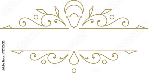 Vintage ornament swirl text divider filigree calligraphic vector illustration
