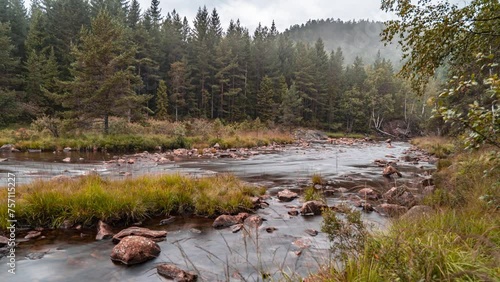 Low clouds whirl above the shallow mountain river and a pine forest. photo