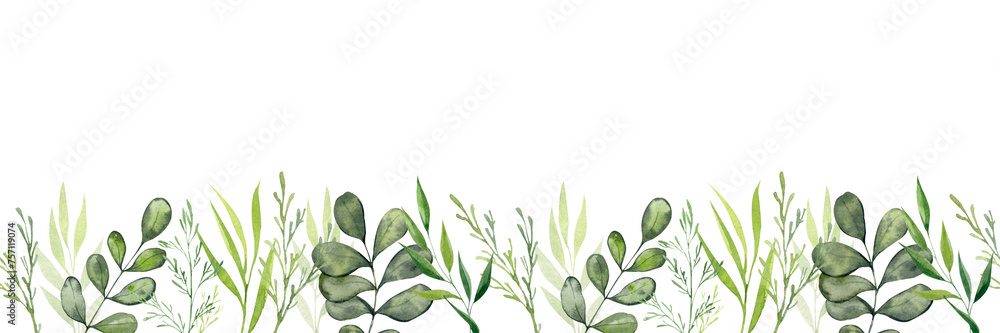 Watercolor seamless border with plants, green twigs and leaves. Botanical illustration of plants for the design of invitations, cards, congratulations. Design of ribbons, tape, textiles and ceramics.