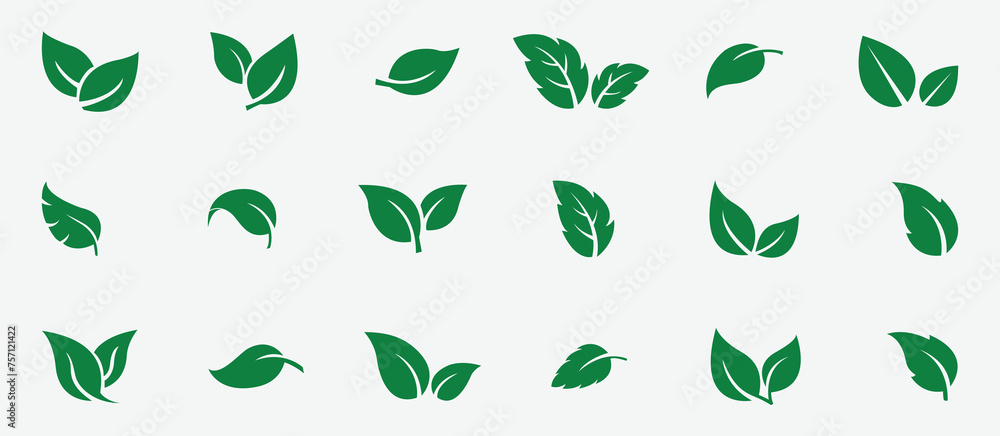 Set green leaves icon vector isolated on white background. Various ...