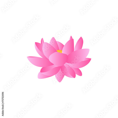 Pink lotus illustration on transparent background