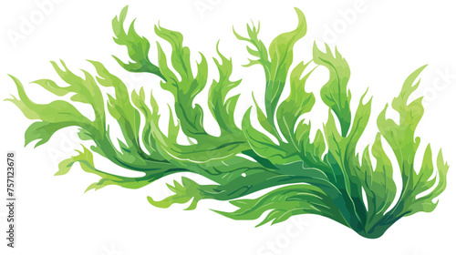Tropical seaweed. Hand drawn vector for travel design