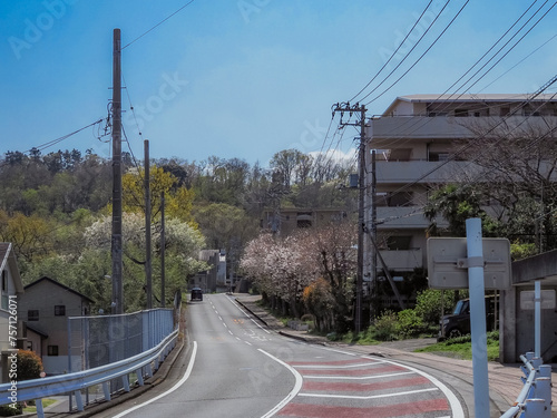 伊豆高原の道路