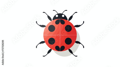 Of ladybug circle icon concept flat vector