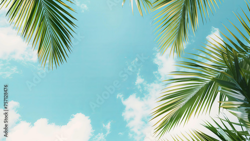 Beautiful palm tree leaves against a blue sky with white clouds. Summer vacation background