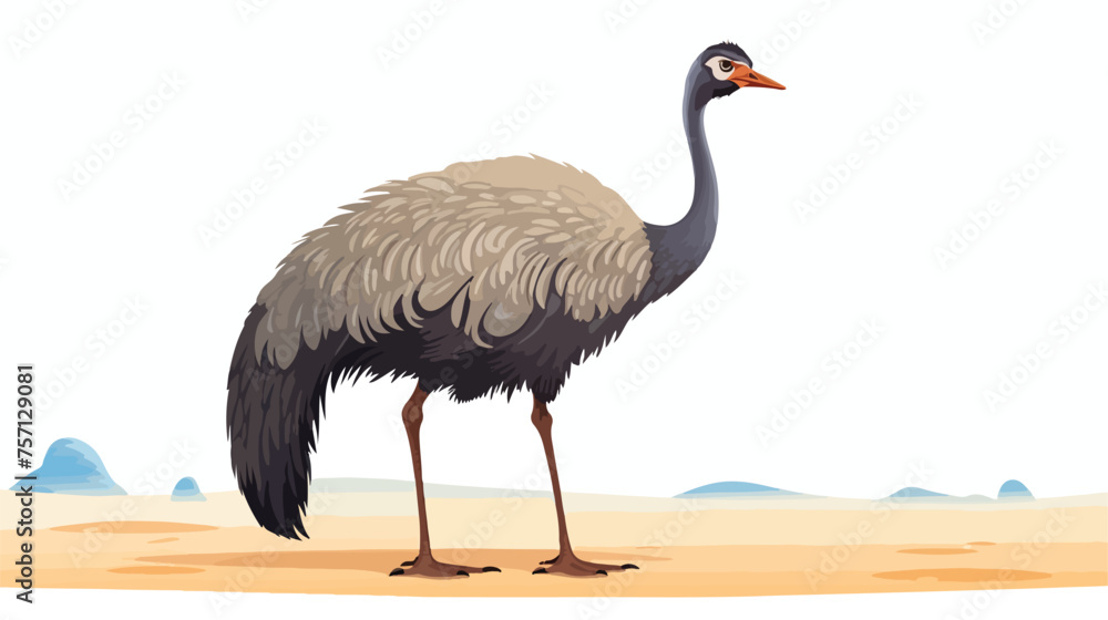 Naklejka premium Ostrich bird. Vector isolated on the white background