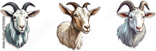 Goat heads set. Hand drawn vector illustration isolated on white background