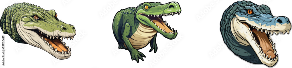 Obraz premium Crocodile set. Vector illustration of a crocodile.