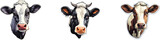 Cute black and white cow heads isolated on white background. Vector illustration.