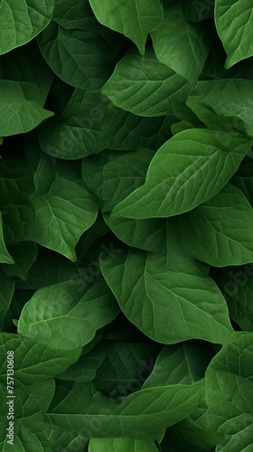 Tilable Leaves Texture