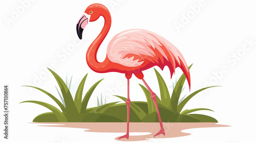 Pink flamingo bird flat flat vector isolated on white background © Noman