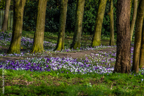 Churchtown  Southport  Merseyside  UK.